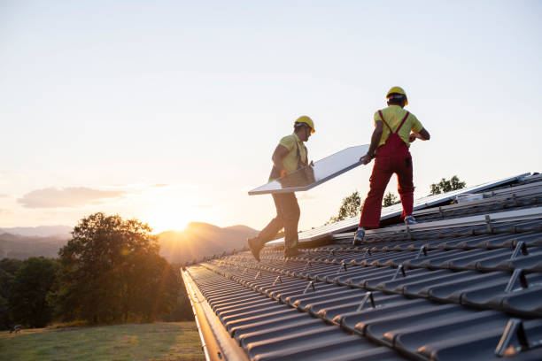 Best Chimney Flashing Repair  in Auburn, IL