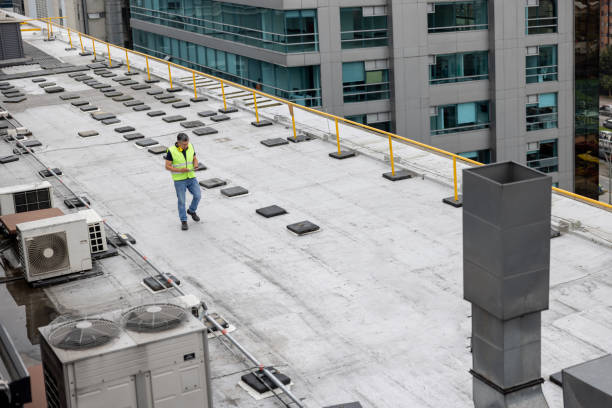 Emergency Roof Repair in Auburn, IL