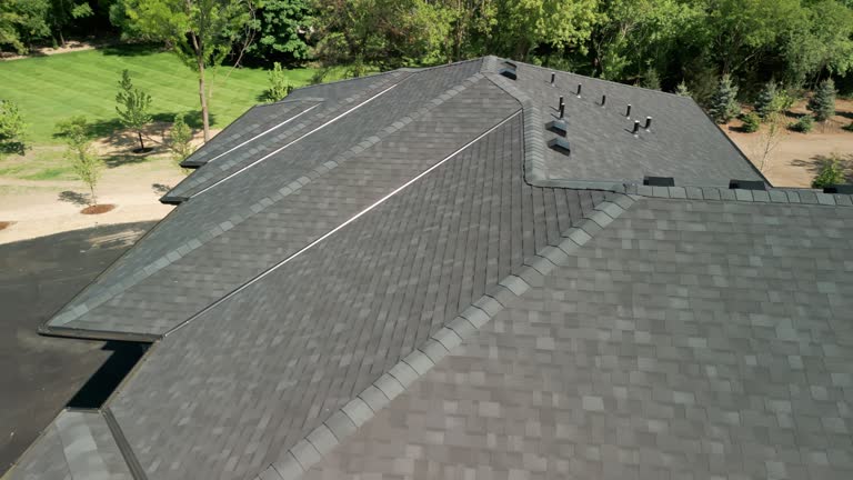 Best Skylight Installation and Repair  in Auburn, IL