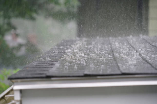 Best Metal Roofing Installation  in Auburn, IL