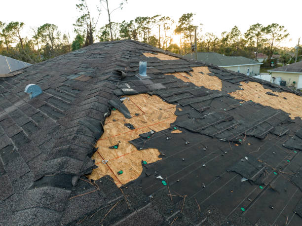 Best Roof Moss and Algae Removal  in Auburn, IL