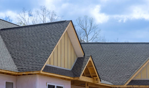 Best Sheet Metal Roofing  in Auburn, IL
