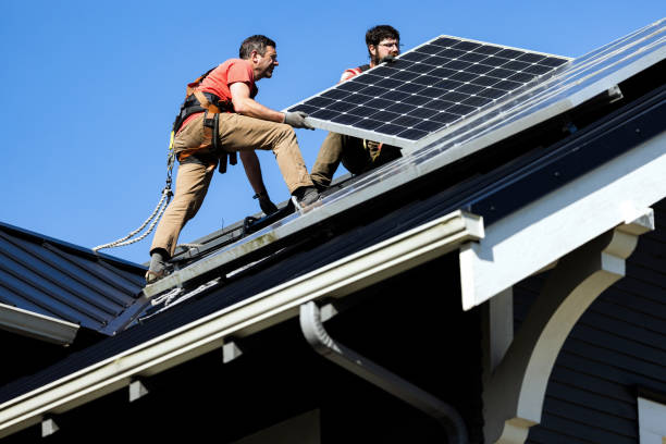 Best Storm Damage Roof Repair  in Auburn, IL