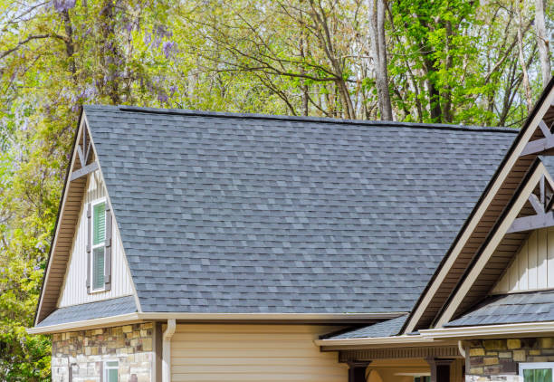 Best Rubber Roofing (EPDM, TPO)  in Auburn, IL