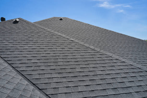 Best Roof Insulation Installation  in Auburn, IL