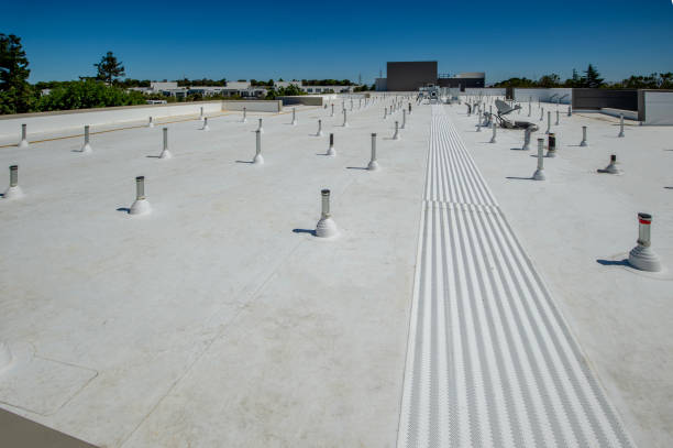 Best Rubber Roofing (EPDM, TPO)  in Auburn, IL
